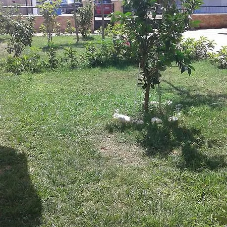 Theano Apartment Nea Plagia