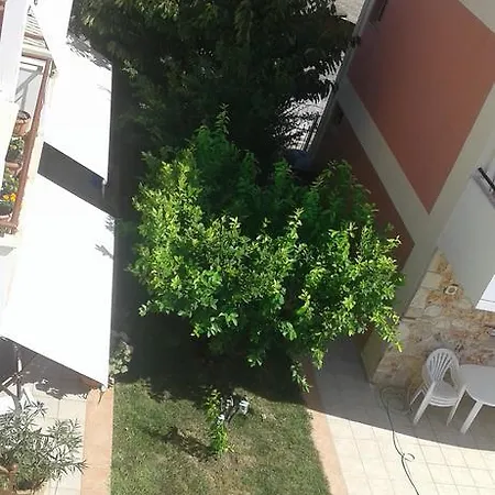 Theano * Nea Plagia